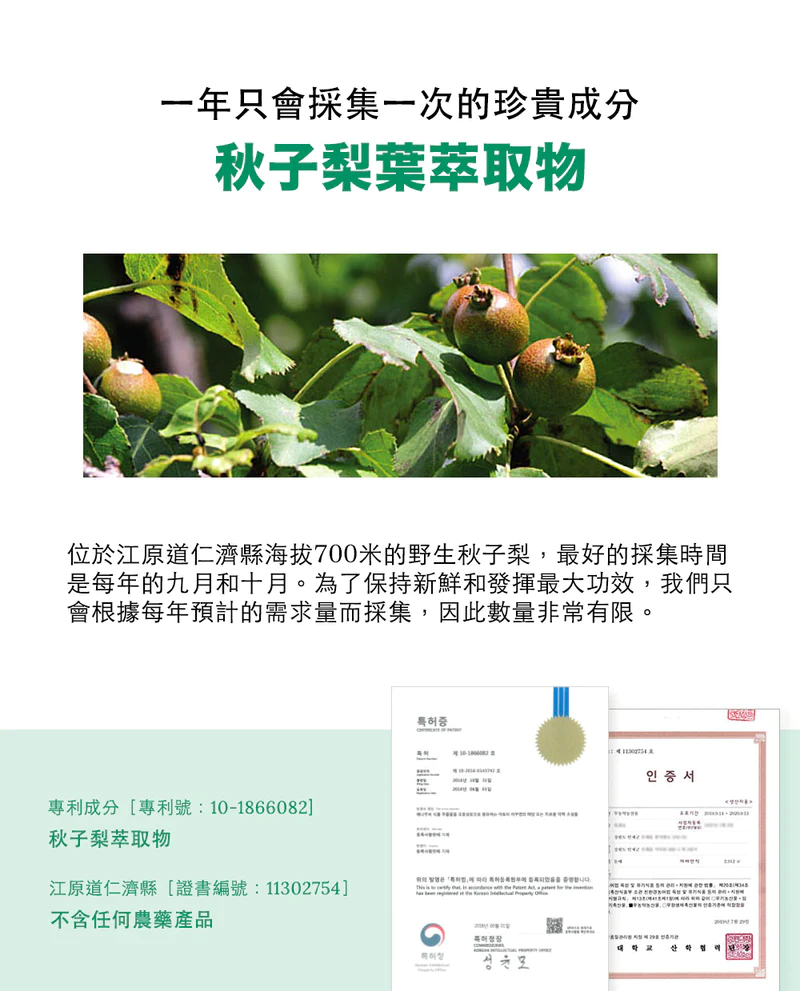 GNST - Coco全方位清爽護膚套裝(濕疹修護霜+滋潤修護身體乳液+二合一洗髮沐浴護膚露+蘆薈舒緩保濕凝膠)_GN013